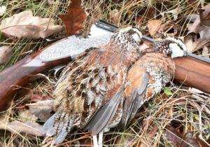 chukar hunting